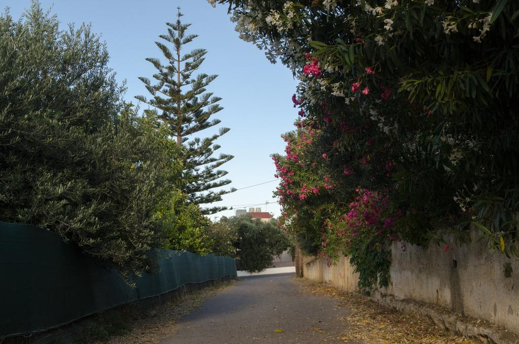 Kato Galatas Iokasti Homes מראה חיצוני תמונה